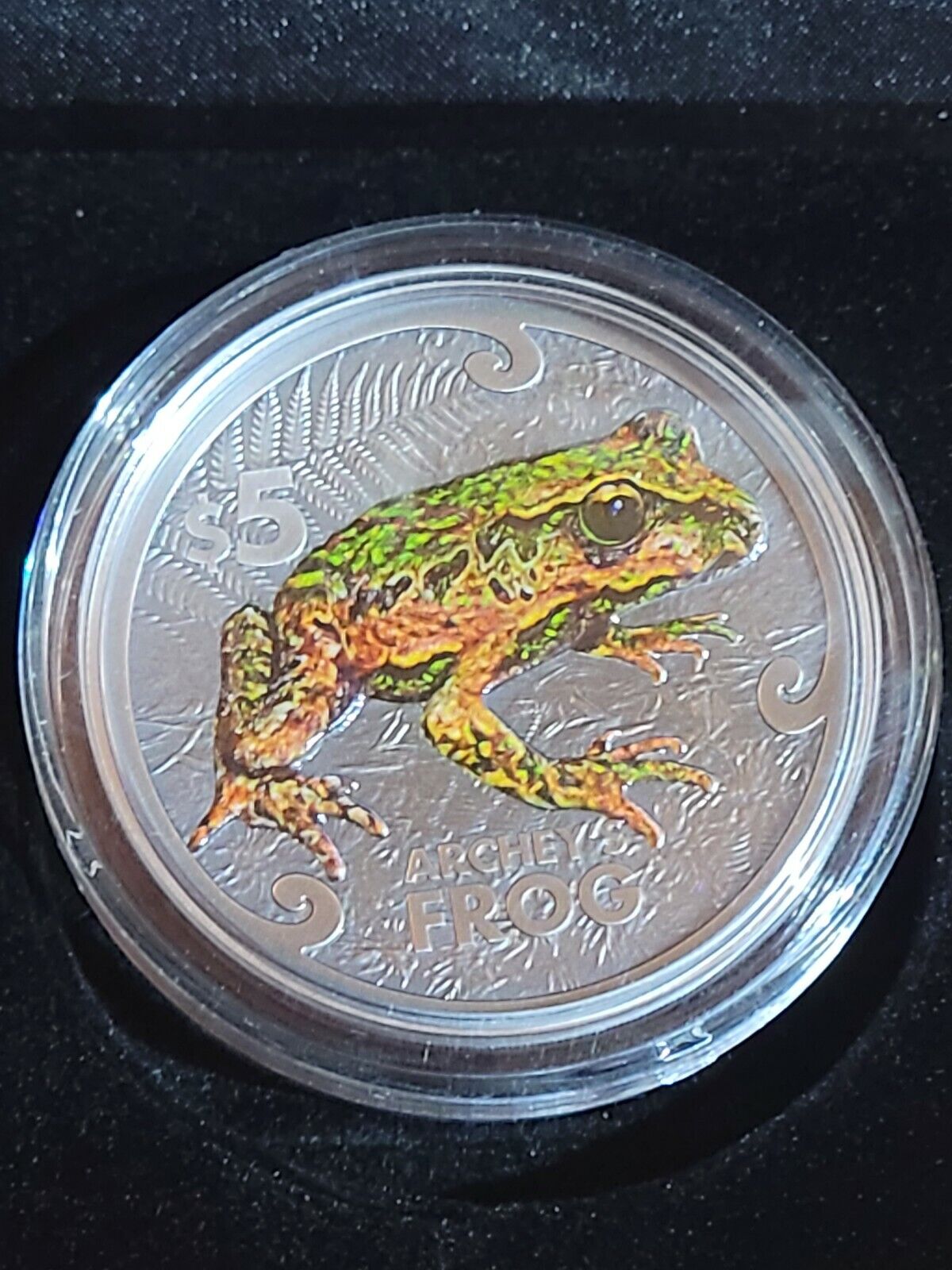 2022 New Zealand Annual Coin - Archey's Frog