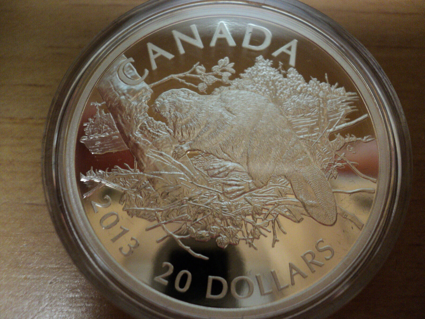 2013 Canadian $20 Dollar Beaver  1 Oz Fine Silver Coin