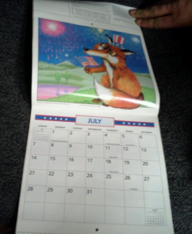 American Lights/Fillers Foxy 1991 Calendar