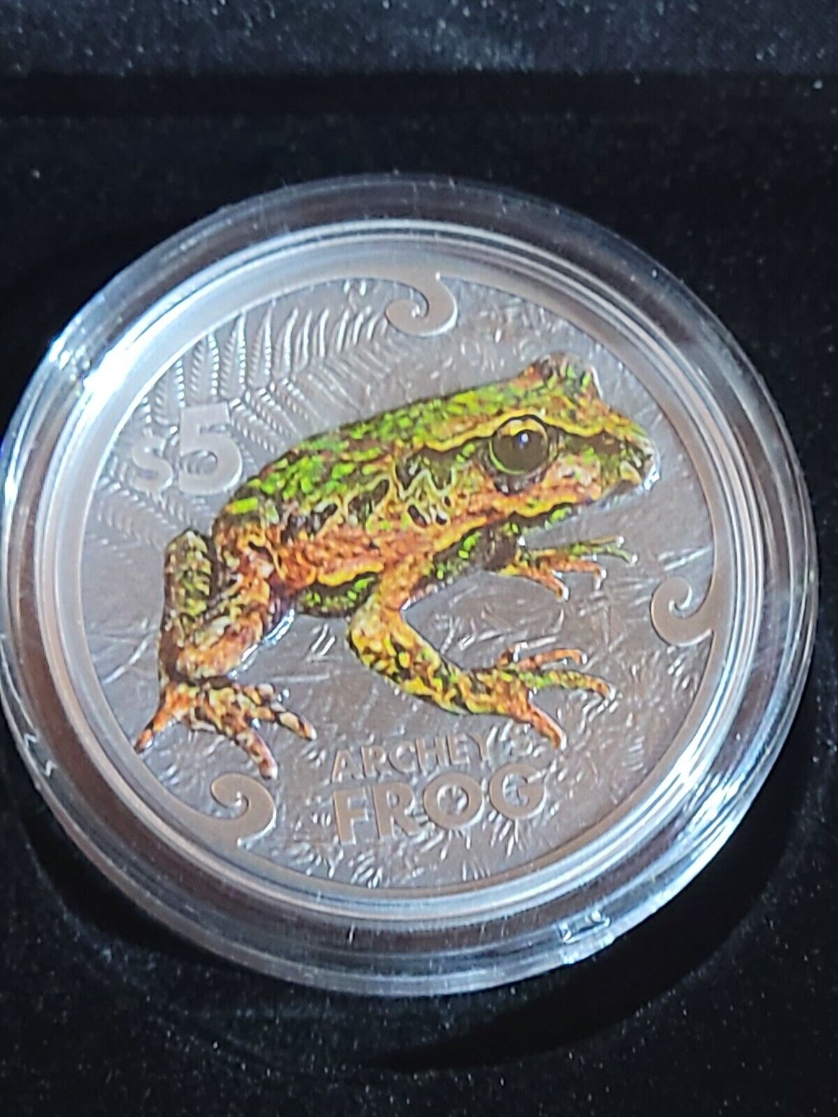 2022 New Zealand Annual Coin - Archey's Frog